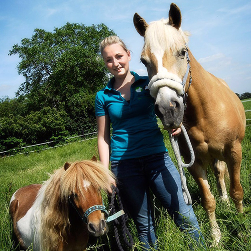 lena stenders tierphysiotherapie