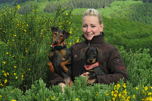 physiotherapie hund